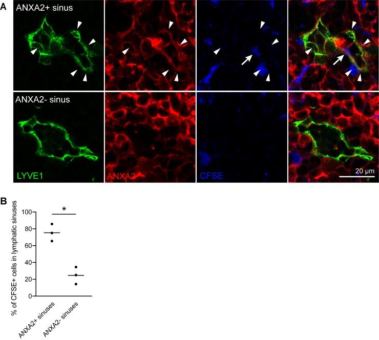 https://cdn.ncbi.nlm.nih.gov/pmc/blobs/51ea/7162550/8bd649bc0e3c/pbio.3000704.g008.jpg