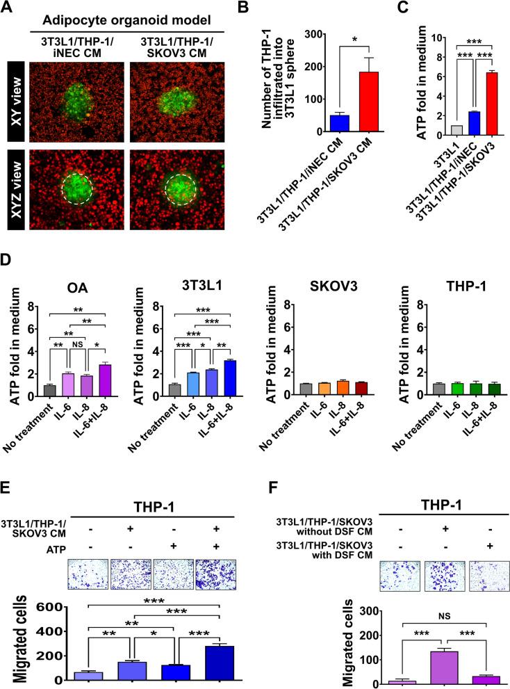 https://cdn.ncbi.nlm.nih.gov/pmc/blobs/51ed/11167873/50f0e5a1e224/12929_2024_1051_Fig3_HTML.jpg