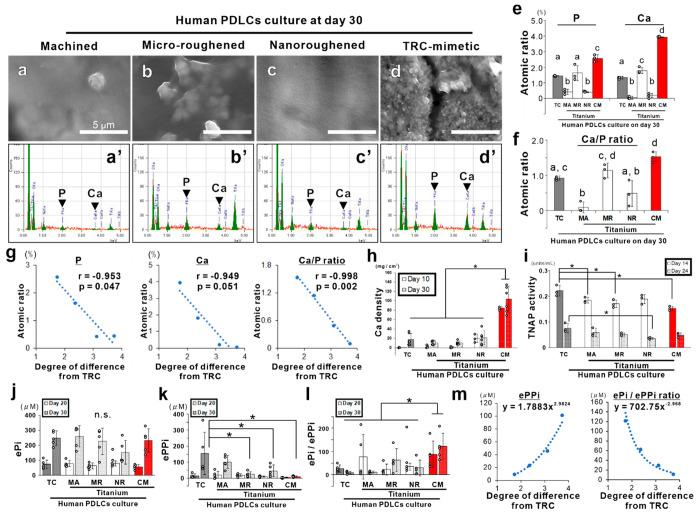 https://cdn.ncbi.nlm.nih.gov/pmc/blobs/51ed/9231364/3f1eea11c857/am2c06679_0006.jpg