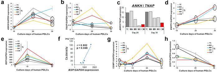 https://cdn.ncbi.nlm.nih.gov/pmc/blobs/51ed/9231364/4c47191134c7/am2c06679_0007.jpg