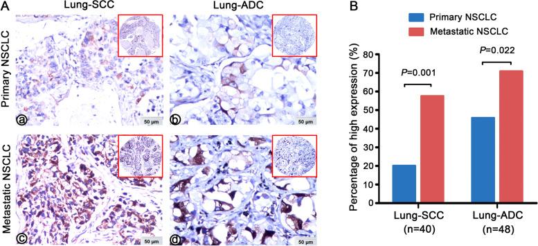 https://cdn.ncbi.nlm.nih.gov/pmc/blobs/51f0/9123697/41773384ed65/12885_2022_9664_Fig2_HTML.jpg