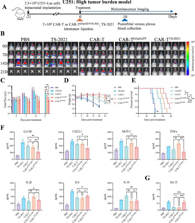 https://cdn.ncbi.nlm.nih.gov/pmc/blobs/51f1/12139114/2e7c8e862502/13046_2025_3431_Fig4_HTML.jpg