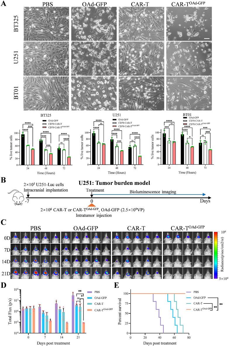 https://cdn.ncbi.nlm.nih.gov/pmc/blobs/51f1/12139114/328f61f13585/13046_2025_3431_Fig2_HTML.jpg