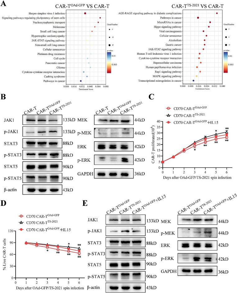 https://cdn.ncbi.nlm.nih.gov/pmc/blobs/51f1/12139114/8e2ba5b831ea/13046_2025_3431_Fig6_HTML.jpg