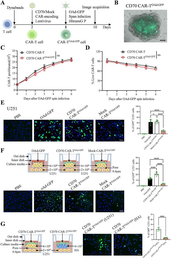 https://cdn.ncbi.nlm.nih.gov/pmc/blobs/51f1/12139114/bf977d96b26e/13046_2025_3431_Fig1_HTML.jpg