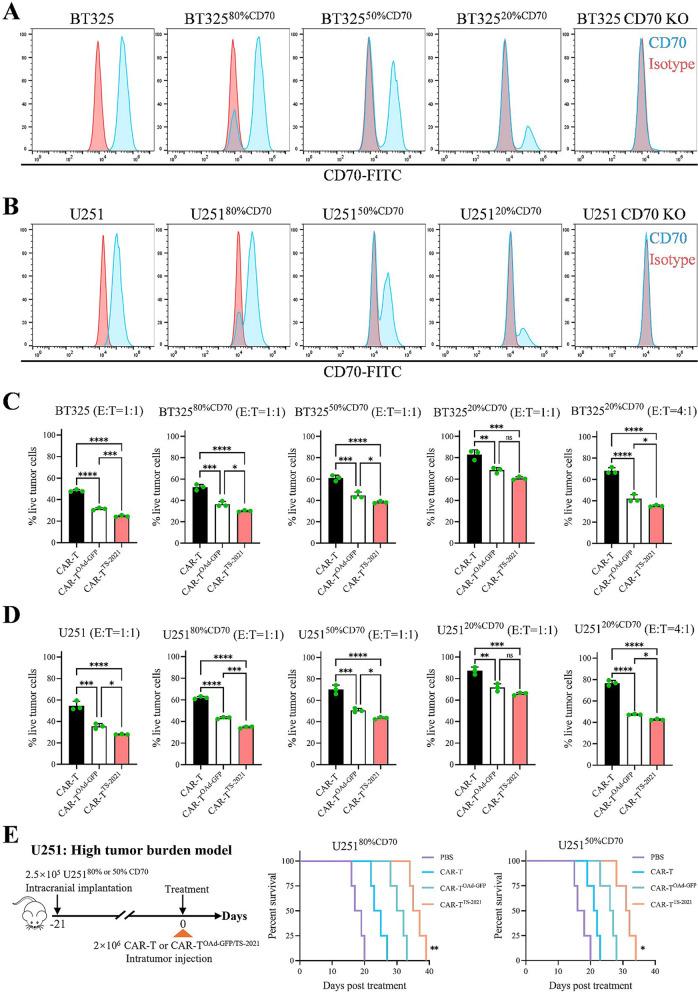 https://cdn.ncbi.nlm.nih.gov/pmc/blobs/51f1/12139114/d070912f2987/13046_2025_3431_Fig7_HTML.jpg