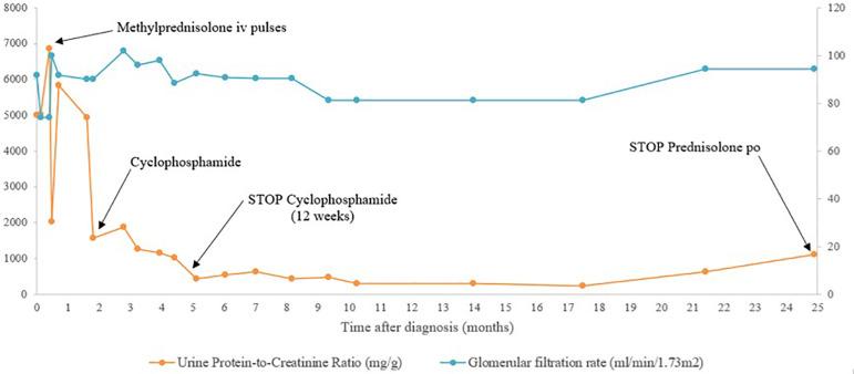 https://cdn.ncbi.nlm.nih.gov/pmc/blobs/51f2/8940111/4238d8f83d8d/2175-8239-jbn-2020-0101-gf03.jpg