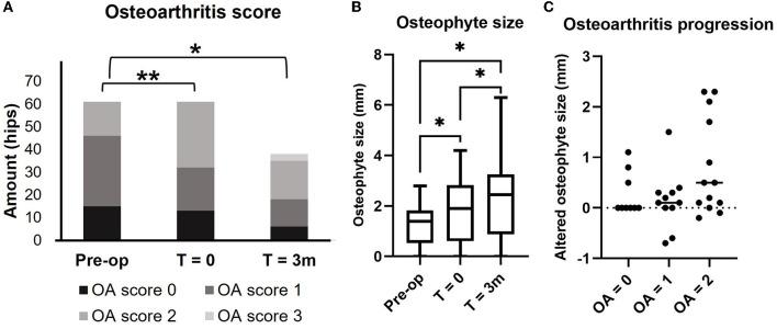 https://cdn.ncbi.nlm.nih.gov/pmc/blobs/51f5/10157081/77eefff8e72d/fvets-10-1160177-g0003.jpg