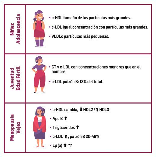 https://cdn.ncbi.nlm.nih.gov/pmc/blobs/51f9/9290436/953232c9dfb4/6805AX211-ACM-92-1-g006.jpg