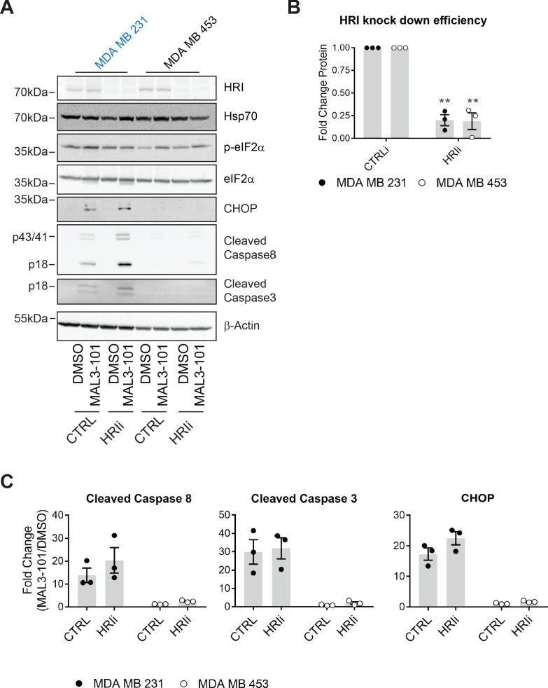 https://cdn.ncbi.nlm.nih.gov/pmc/blobs/51fb/8275131/d7297101ede4/elife-64977-fig9.jpg