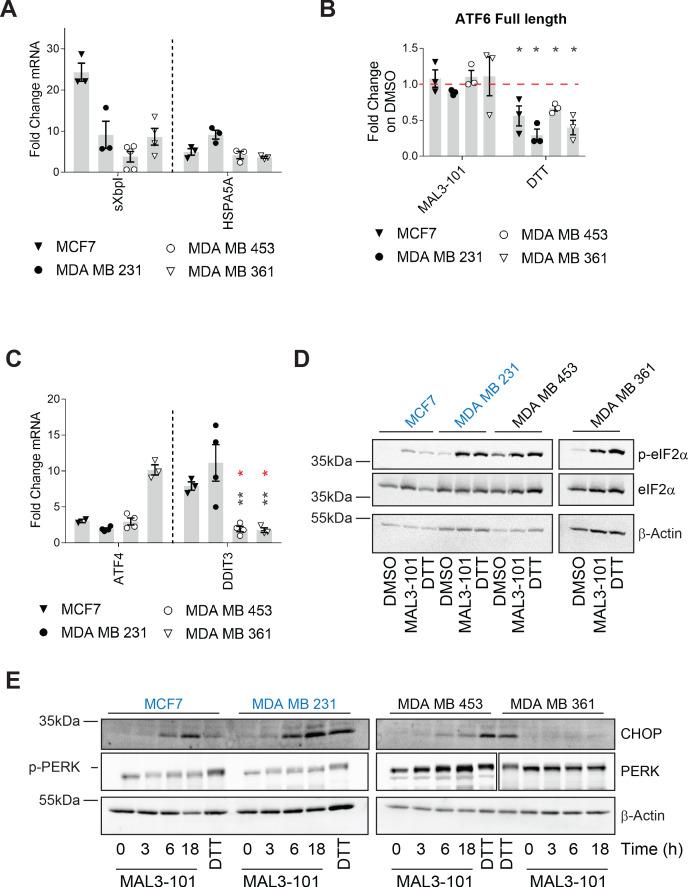 https://cdn.ncbi.nlm.nih.gov/pmc/blobs/51fb/8275131/f9cbfeab95a8/elife-64977-fig7.jpg