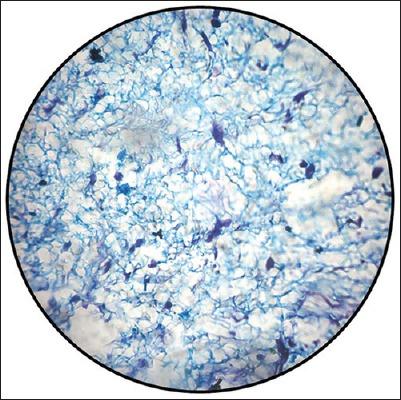 https://cdn.ncbi.nlm.nih.gov/pmc/blobs/51fc/4645549/0618e21d2707/JISP-19-586-g008.jpg
