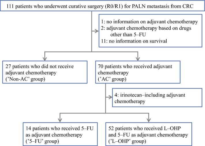 https://cdn.ncbi.nlm.nih.gov/pmc/blobs/51fd/11882702/c2b25a034532/10434_2024_16537_Fig1_HTML.jpg