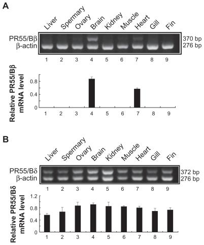 https://cdn.ncbi.nlm.nih.gov/pmc/blobs/51fe/3020040/8e8338cb8773/grsb-2010-135f4.jpg