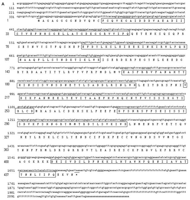 https://cdn.ncbi.nlm.nih.gov/pmc/blobs/51fe/3020040/9524268cc46e/grsb-2010-135f2a.jpg