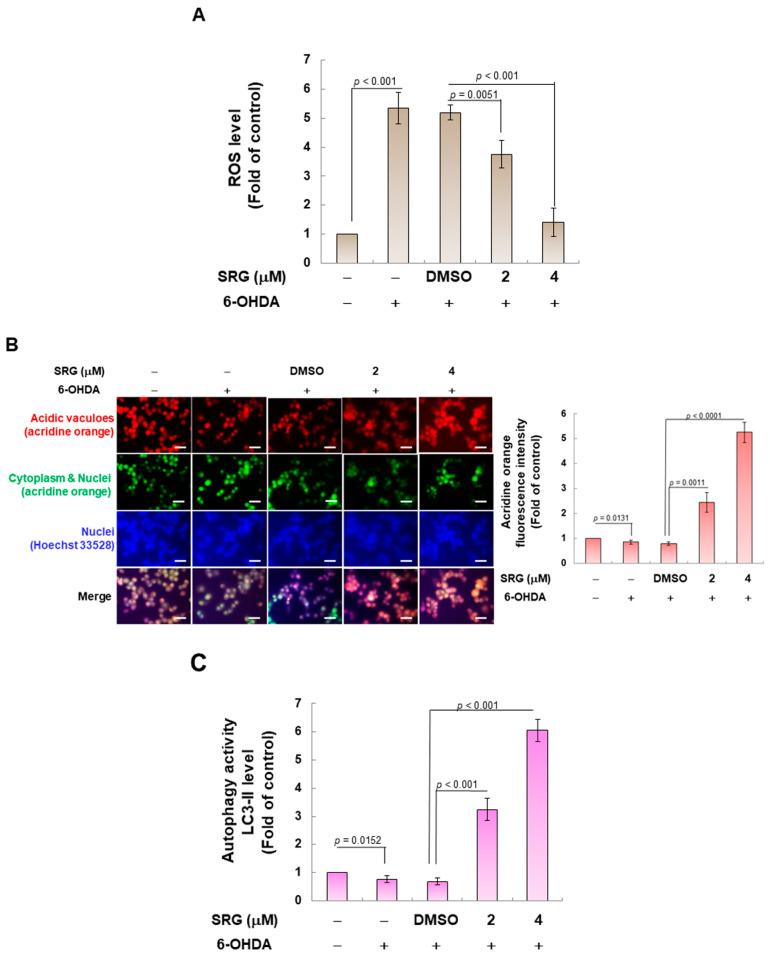 https://cdn.ncbi.nlm.nih.gov/pmc/blobs/5200/10527269/5fceb1f83462/cells-12-02310-g003a.jpg