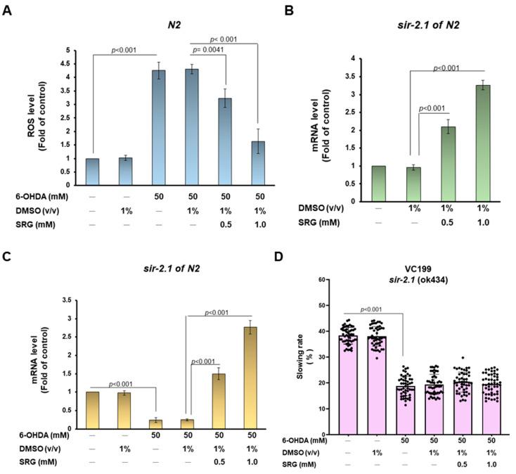 https://cdn.ncbi.nlm.nih.gov/pmc/blobs/5200/10527269/d3e1d1f4f95b/cells-12-02310-g009.jpg