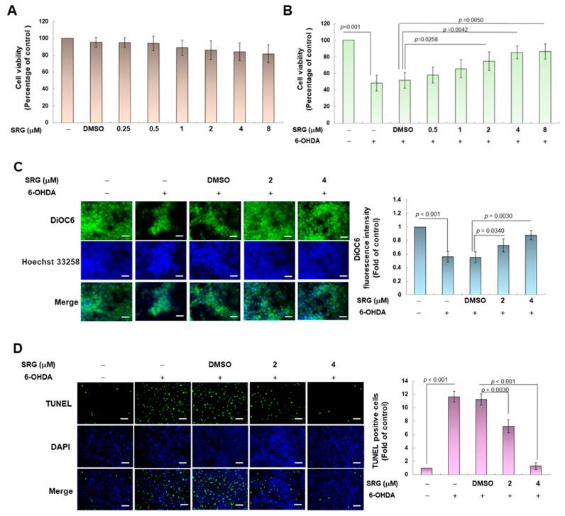 https://cdn.ncbi.nlm.nih.gov/pmc/blobs/5200/10527269/e449b15f17b4/cells-12-02310-g002a.jpg