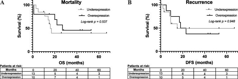 https://cdn.ncbi.nlm.nih.gov/pmc/blobs/5201/10496205/29b78eac7574/12957_2023_3168_Fig2_HTML.jpg