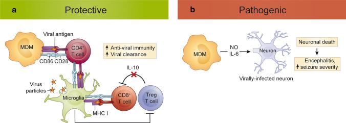 https://cdn.ncbi.nlm.nih.gov/pmc/blobs/5201/8742818/9b978cfecc83/401_2021_2384_Fig2_HTML.jpg