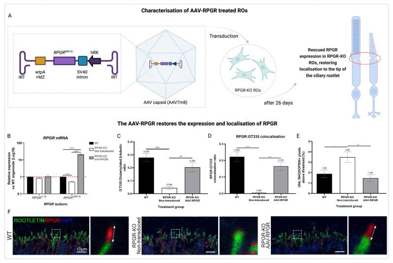 https://cdn.ncbi.nlm.nih.gov/pmc/blobs/5203/11818521/d2e1808fd699/jcm-14-00898-g006.jpg