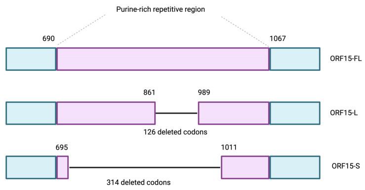 https://cdn.ncbi.nlm.nih.gov/pmc/blobs/5203/11818521/e3063bbce84e/jcm-14-00898-g004.jpg