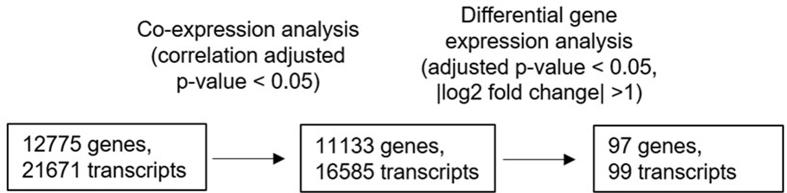 https://cdn.ncbi.nlm.nih.gov/pmc/blobs/5204/10827559/09741f38eddc/figs4.jpg