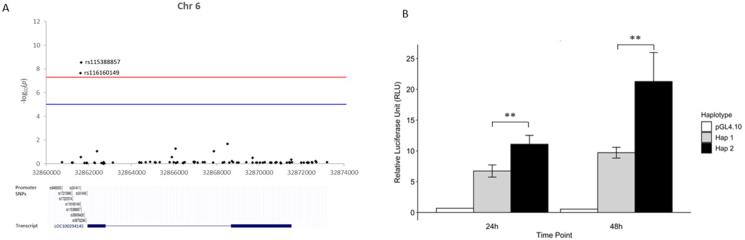https://cdn.ncbi.nlm.nih.gov/pmc/blobs/5204/10827559/81f3450bb392/gr3.jpg