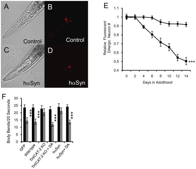 https://cdn.ncbi.nlm.nih.gov/pmc/blobs/5206/2824852/5aa40ec4039c/pone.0009312.g001.jpg