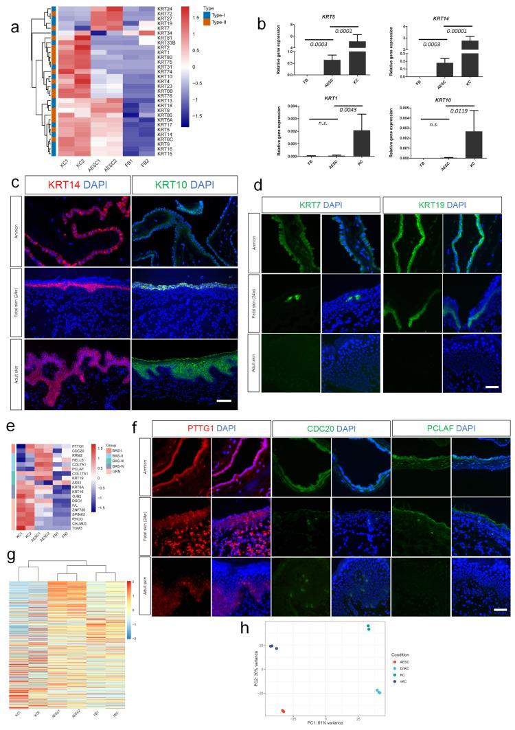 https://cdn.ncbi.nlm.nih.gov/pmc/blobs/5207/8750621/889cb452ea08/cells-11-00070-g002.jpg