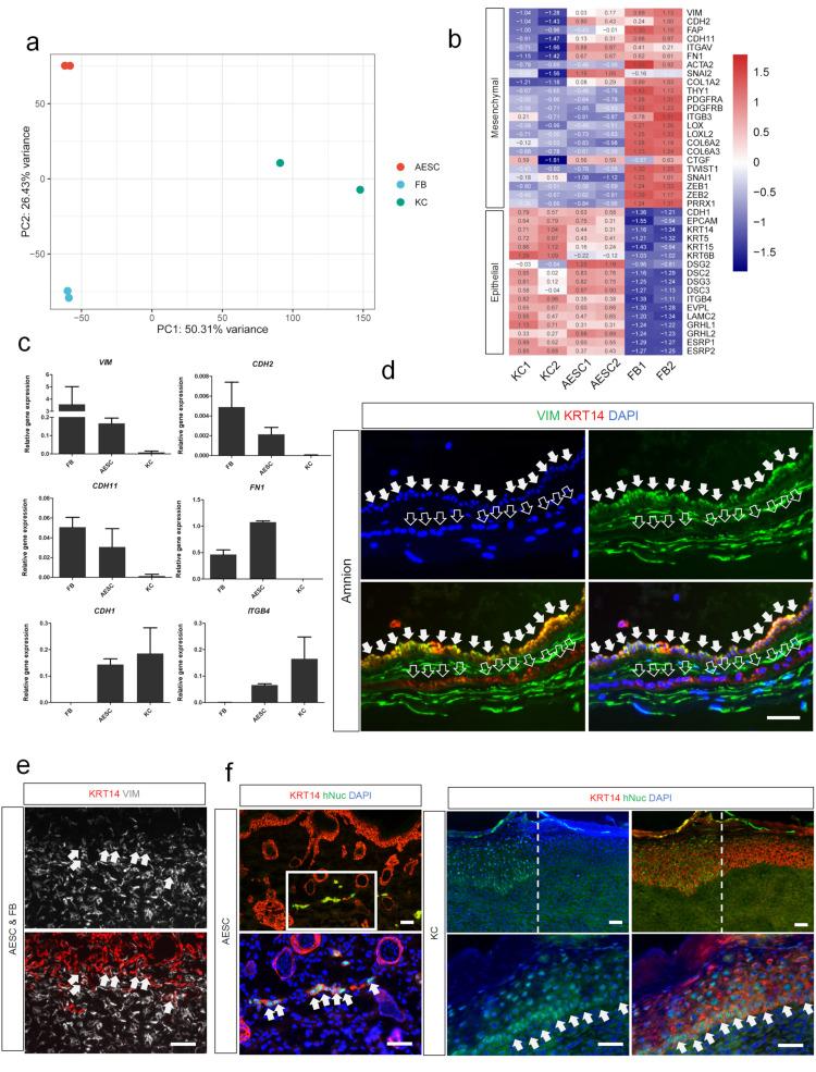 https://cdn.ncbi.nlm.nih.gov/pmc/blobs/5207/8750621/db679b43f51d/cells-11-00070-g003.jpg
