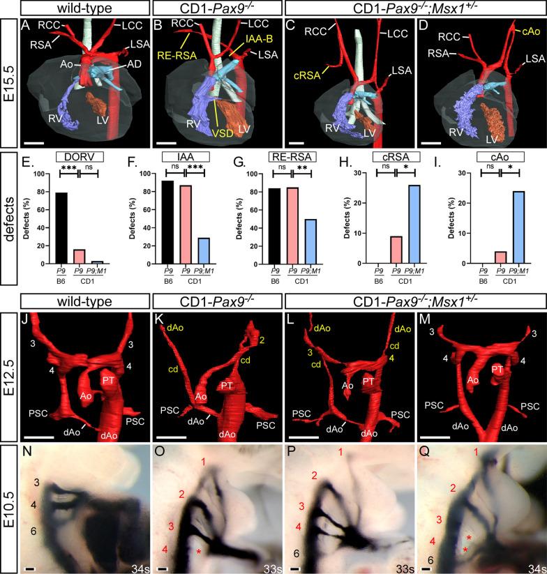 https://cdn.ncbi.nlm.nih.gov/pmc/blobs/520a/8493722/3ae864a9afbf/12861_2021_245_Fig3_HTML.jpg