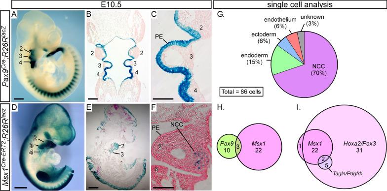 https://cdn.ncbi.nlm.nih.gov/pmc/blobs/520a/8493722/a89892975673/12861_2021_245_Fig2_HTML.jpg