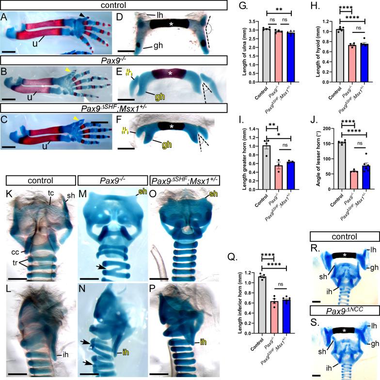 https://cdn.ncbi.nlm.nih.gov/pmc/blobs/520a/8493722/e3dae7b8c7f7/12861_2021_245_Fig7_HTML.jpg