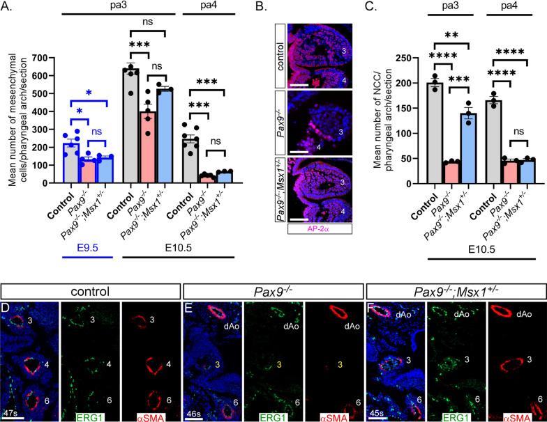 https://cdn.ncbi.nlm.nih.gov/pmc/blobs/520a/8493722/f2642b5af08b/12861_2021_245_Fig4_HTML.jpg