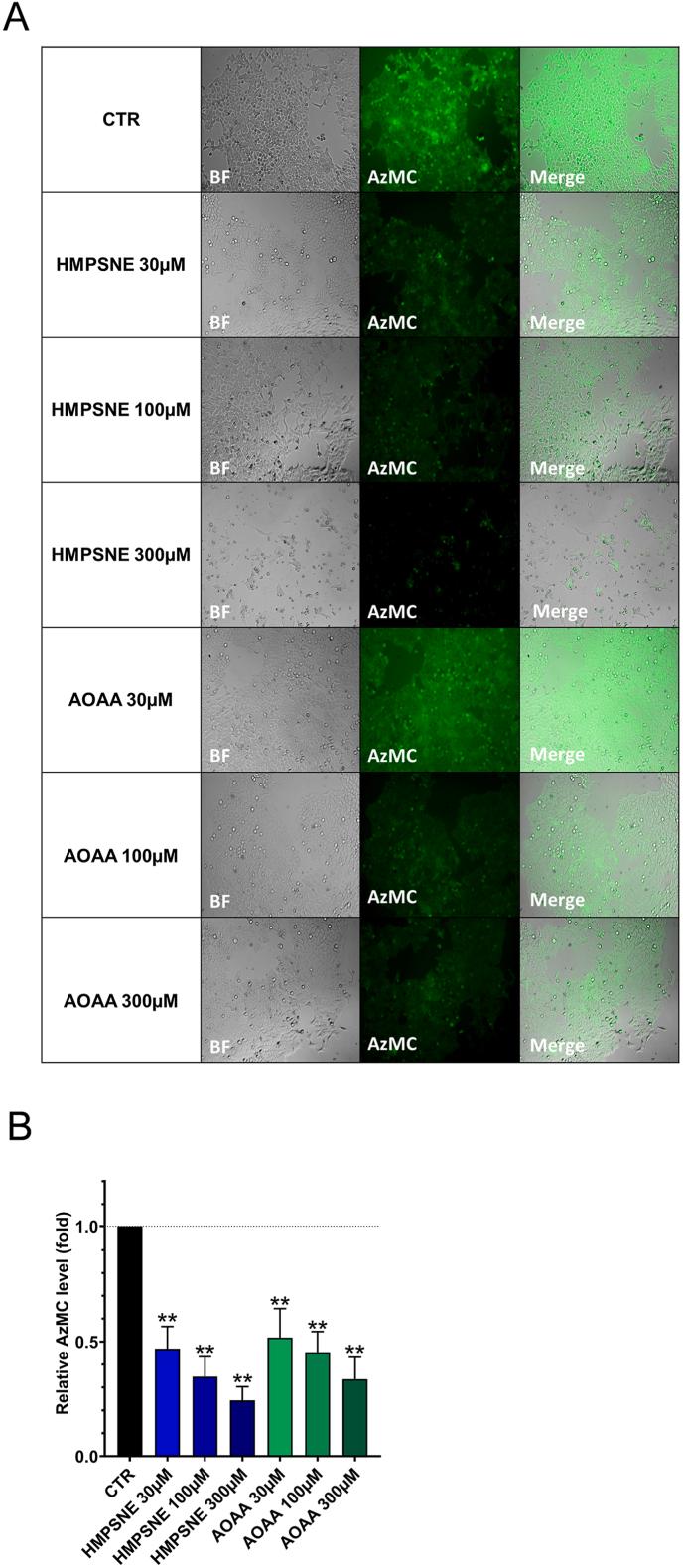 https://cdn.ncbi.nlm.nih.gov/pmc/blobs/520a/9482125/73abd86ad420/gr2.jpg