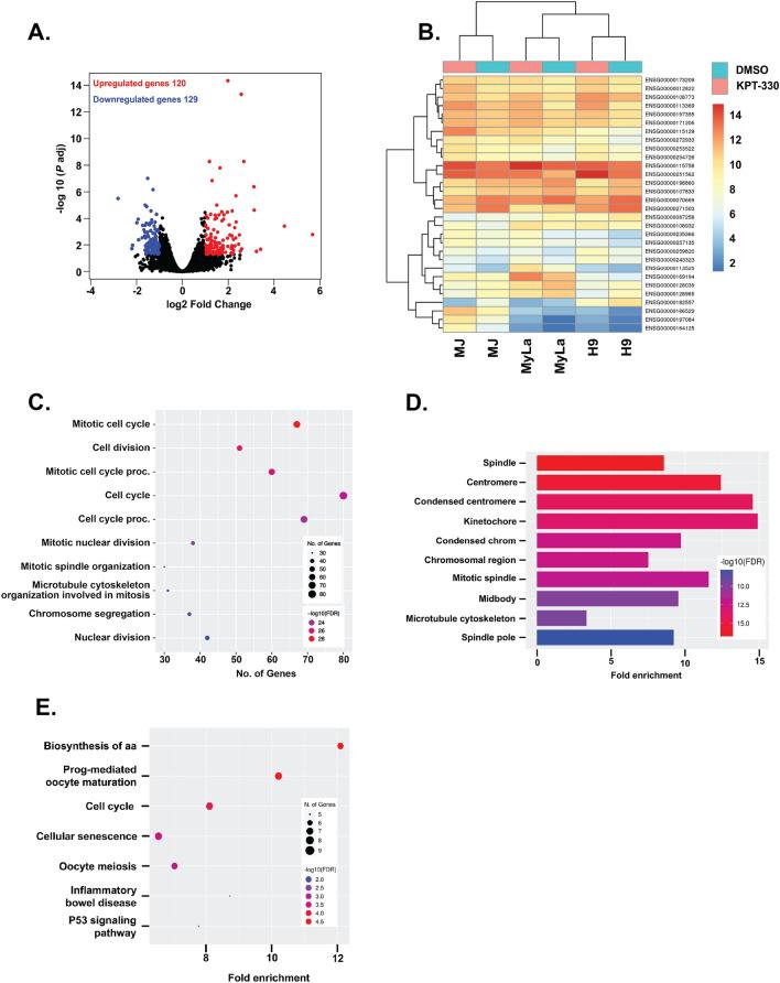https://cdn.ncbi.nlm.nih.gov/pmc/blobs/520b/11039474/62bc84460298/41598_2024_59994_Fig2_HTML.jpg
