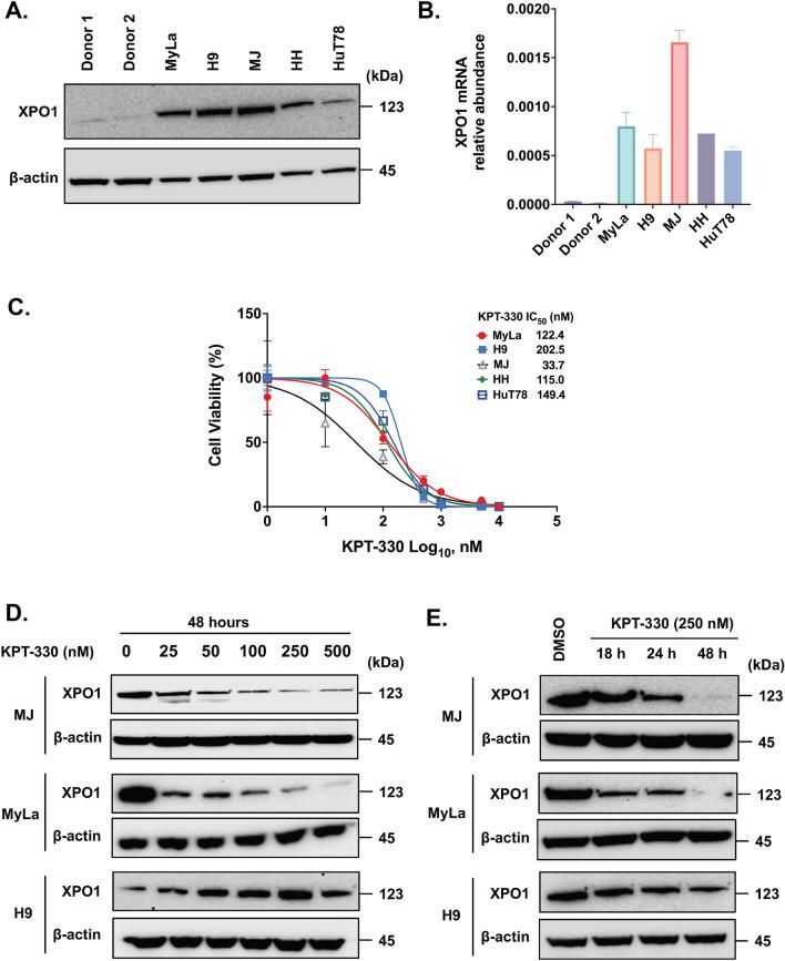 https://cdn.ncbi.nlm.nih.gov/pmc/blobs/520b/11039474/bf5836b80ad4/41598_2024_59994_Fig1_HTML.jpg