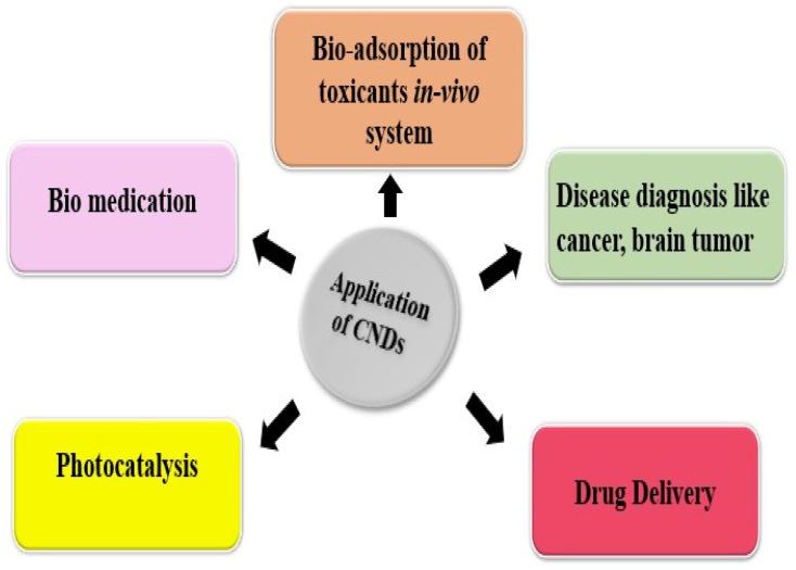 https://cdn.ncbi.nlm.nih.gov/pmc/blobs/520b/11819804/eedfa66076a8/polymers-17-00365-g007.jpg