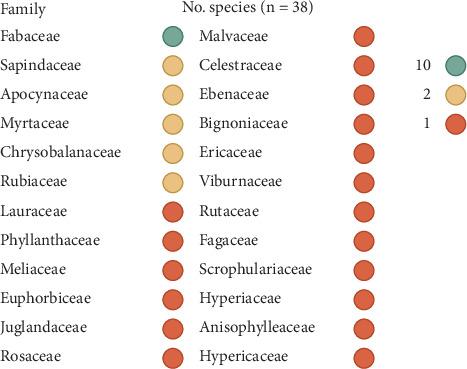 https://cdn.ncbi.nlm.nih.gov/pmc/blobs/520b/12213047/966ae09bb511/TSWJ2025-2635735.004.jpg