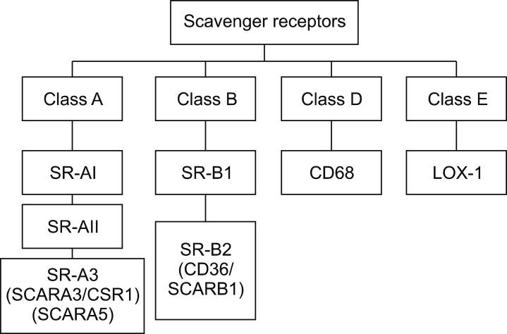https://cdn.ncbi.nlm.nih.gov/pmc/blobs/520b/6976765/1480ac77e469/cmj-56-1-g001.jpg