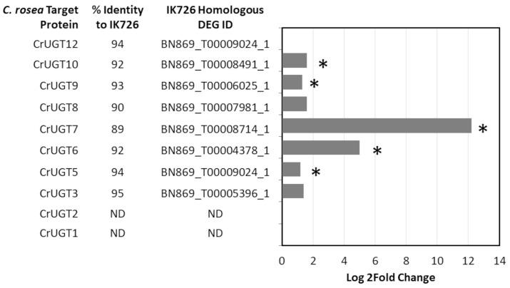 https://cdn.ncbi.nlm.nih.gov/pmc/blobs/520d/10381798/67bf730f4926/jof-09-00723-g004.jpg