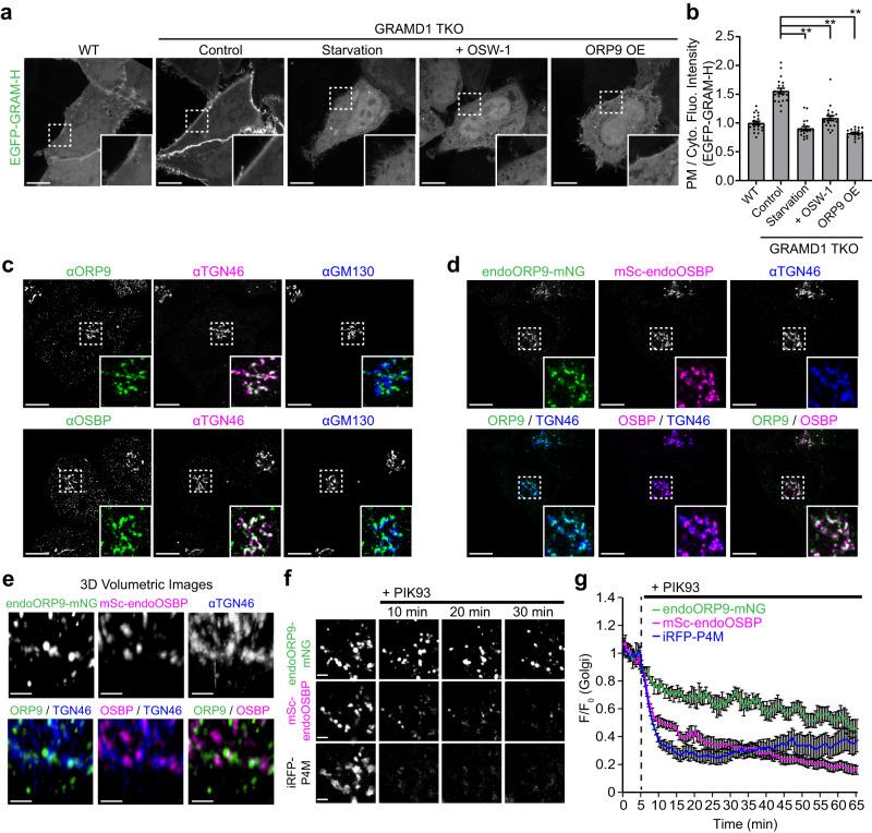 https://cdn.ncbi.nlm.nih.gov/pmc/blobs/520d/10514280/06d80200627d/41467_2023_41213_Fig1_HTML.jpg