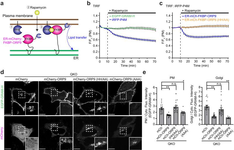 https://cdn.ncbi.nlm.nih.gov/pmc/blobs/520d/10514280/4029cc346191/41467_2023_41213_Fig4_HTML.jpg