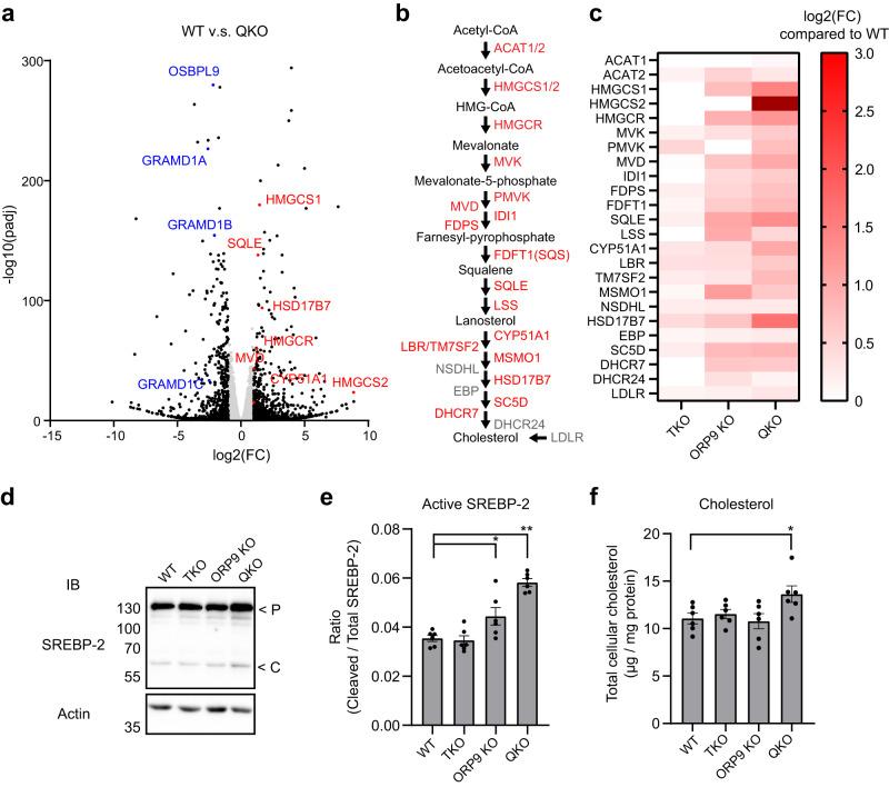 https://cdn.ncbi.nlm.nih.gov/pmc/blobs/520d/10514280/f1b0063029a3/41467_2023_41213_Fig8_HTML.jpg