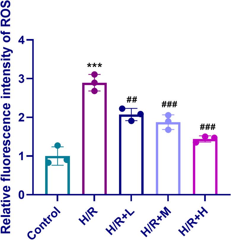 https://cdn.ncbi.nlm.nih.gov/pmc/blobs/520f/12220461/2ea1382ee11e/13104_2025_7308_Fig3_HTML.jpg