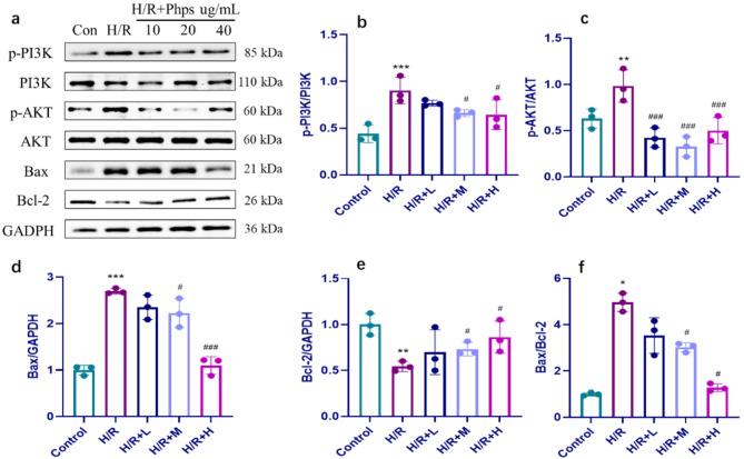 https://cdn.ncbi.nlm.nih.gov/pmc/blobs/520f/12220461/7194d22491b5/13104_2025_7308_Fig7_HTML.jpg