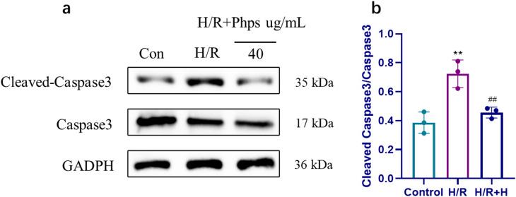 https://cdn.ncbi.nlm.nih.gov/pmc/blobs/520f/12220461/bea2bbe898d2/13104_2025_7308_Fig5_HTML.jpg