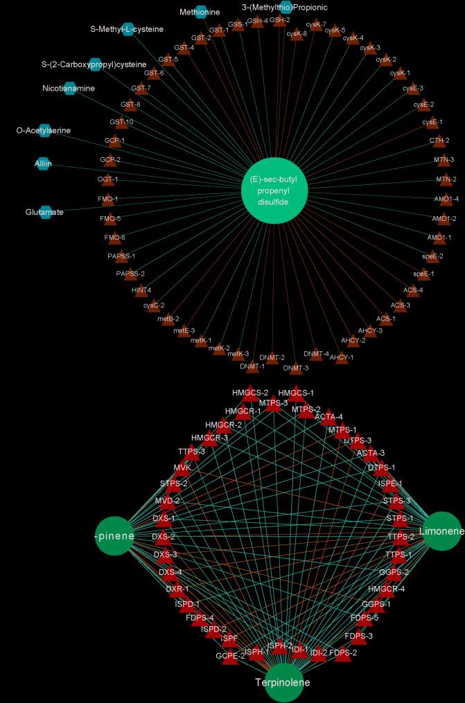 https://cdn.ncbi.nlm.nih.gov/pmc/blobs/520f/12275395/35dd047f52b1/12870_2025_6969_Fig6_HTML.jpg