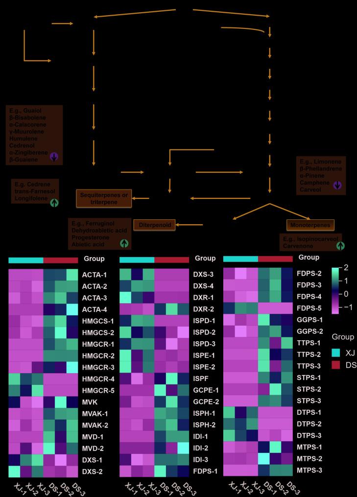 https://cdn.ncbi.nlm.nih.gov/pmc/blobs/520f/12275395/8ea571517acb/12870_2025_6969_Fig5_HTML.jpg